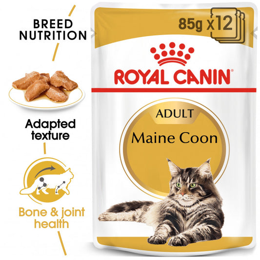 Royal Canin MAINE COON (WET FOOD - POUCHES)