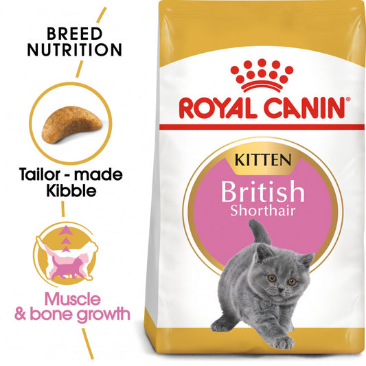 Royal Canin BRITISH SHORTHAIR KITTEN 2 KG