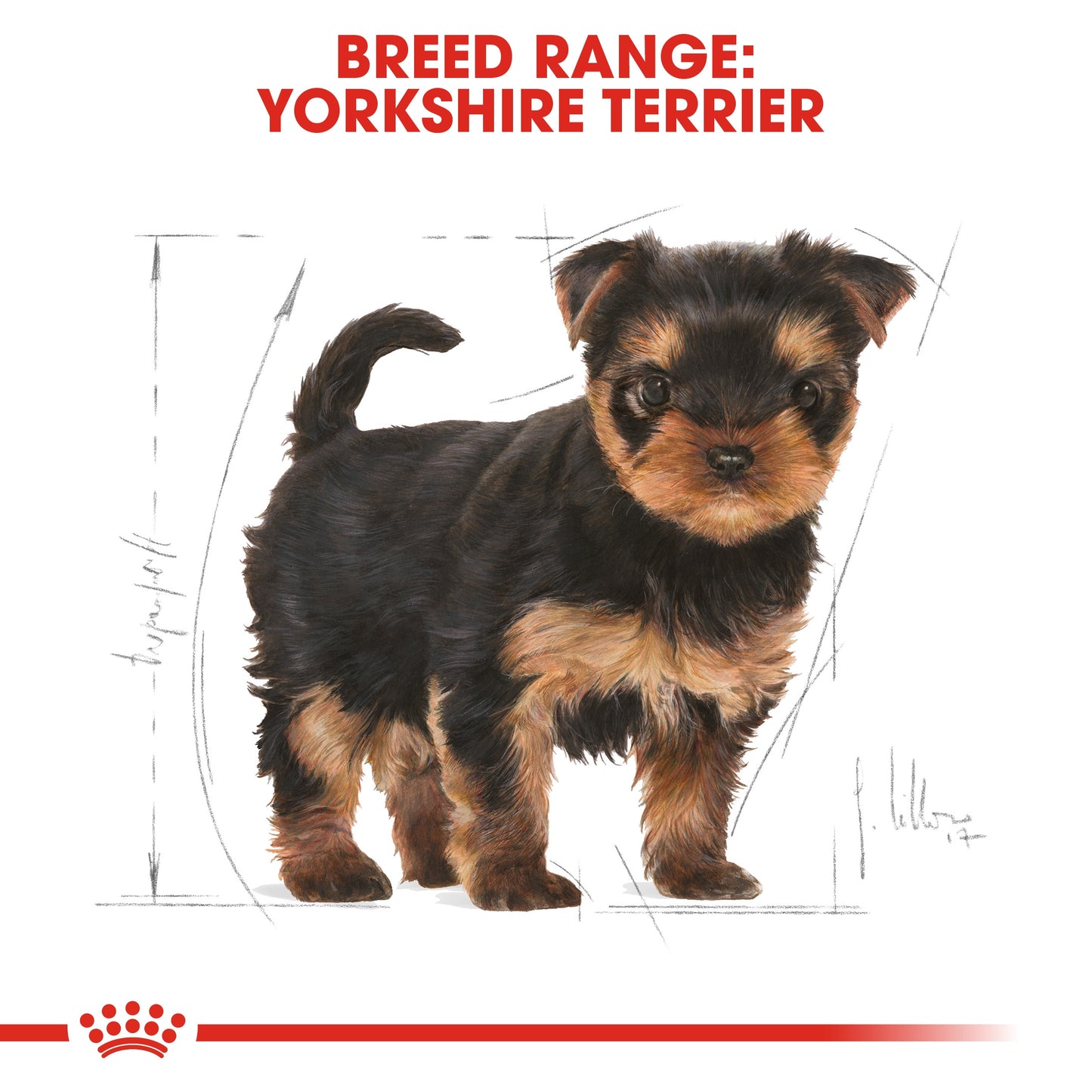 ROYAL CANIN YORKSHIRE PUPPY 1.5 KG