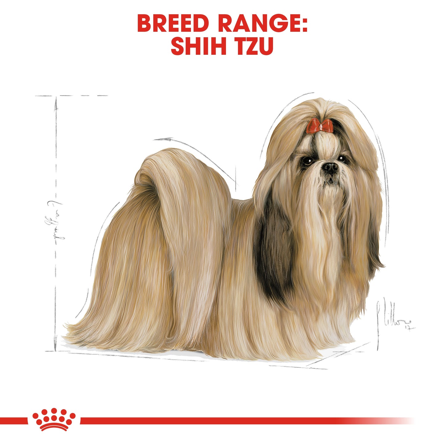 ROYAL CANIN  SHIH TZU ADULT 1.5 KG