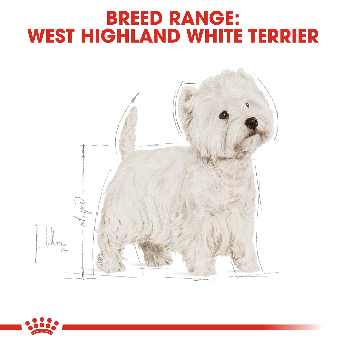 ROYAL CANIN WESTIE ADULT 3 KG