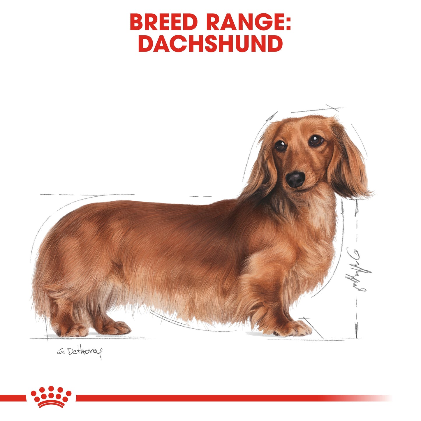 BREED HEALTH NUTRITION DACHSHUND ADULT (WET FOOD - POUCHES)