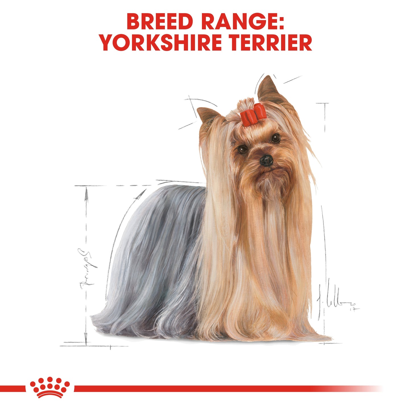 ROYAL CANIN YORKSHIRE ADULT 1.5 KG