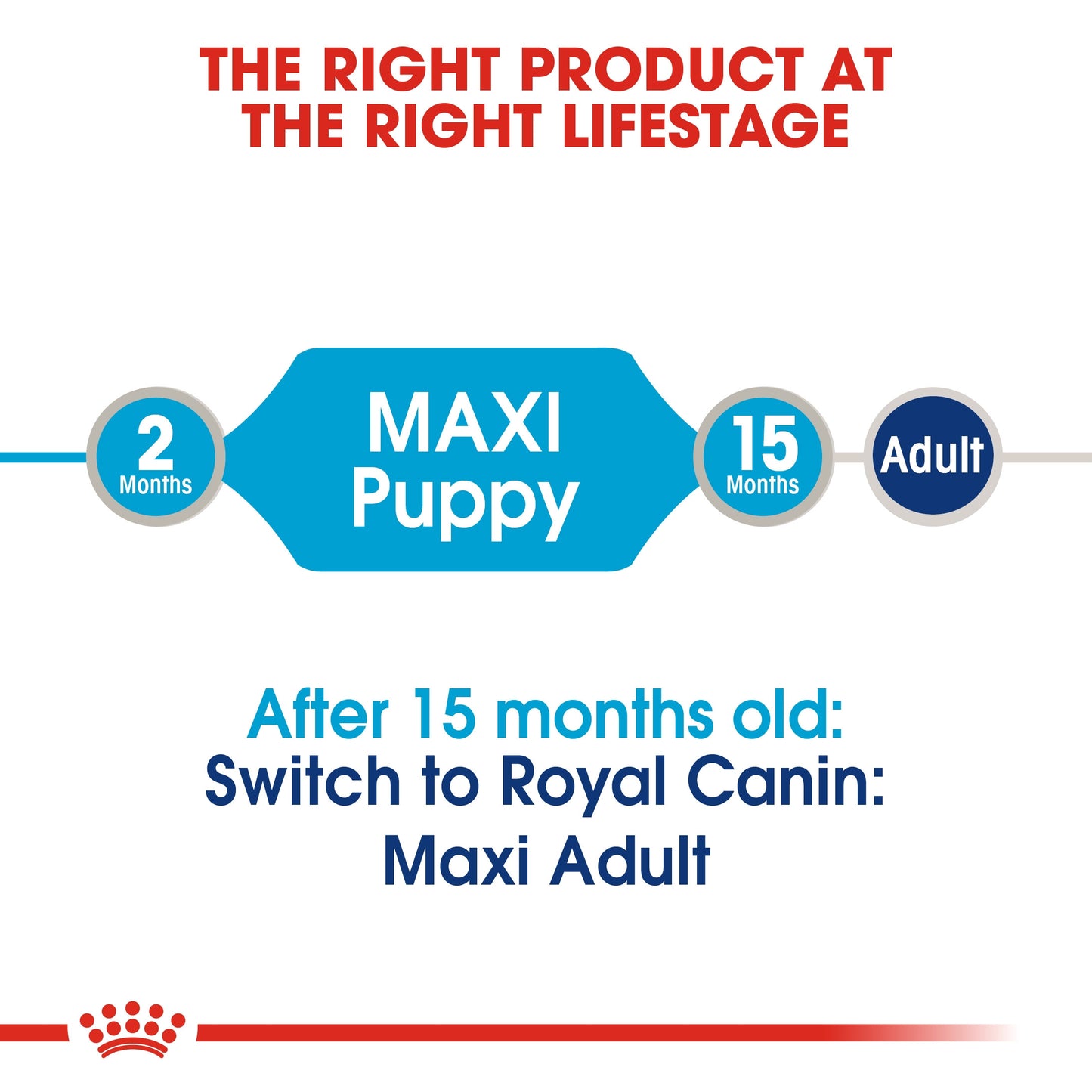 Royal Canin MAXI PUPPY (WET FOOD - POUCHES)