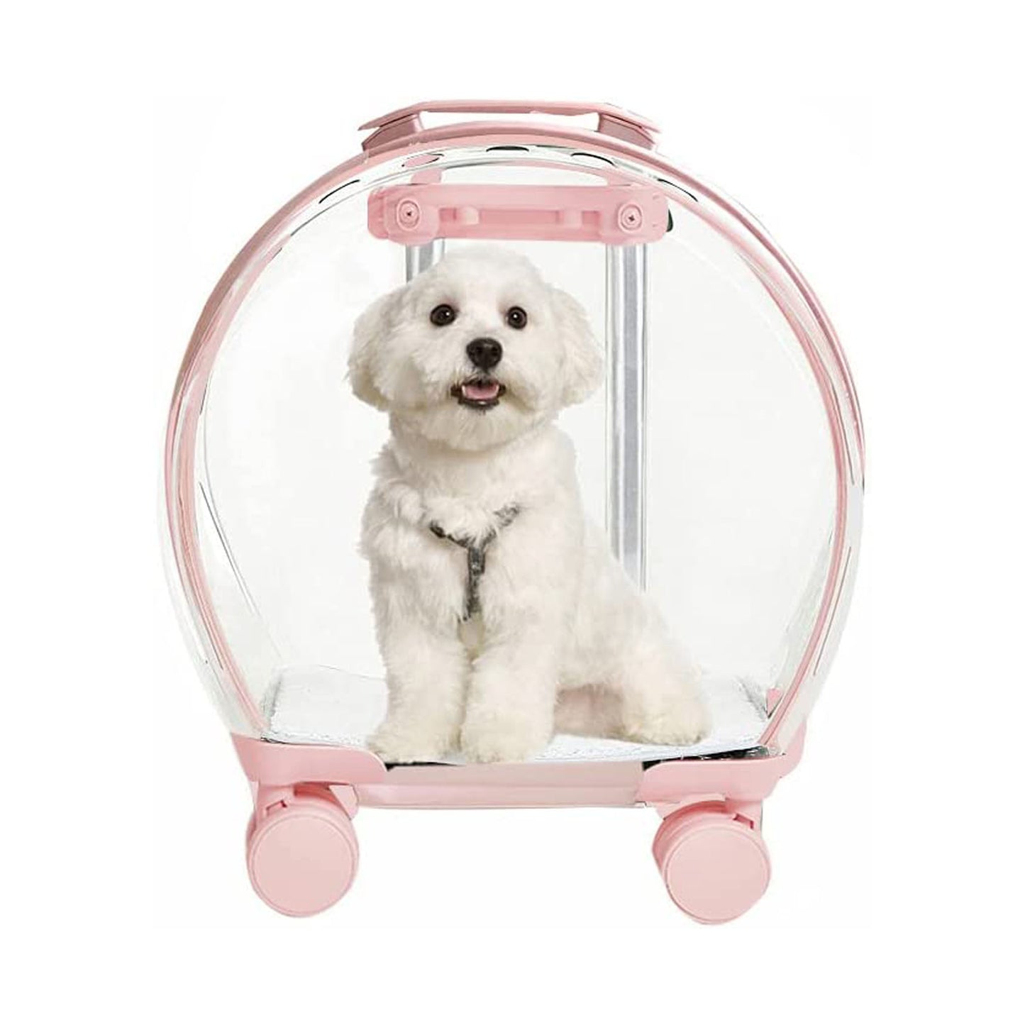 Blunzo stylish Pet Trolley Box Portable